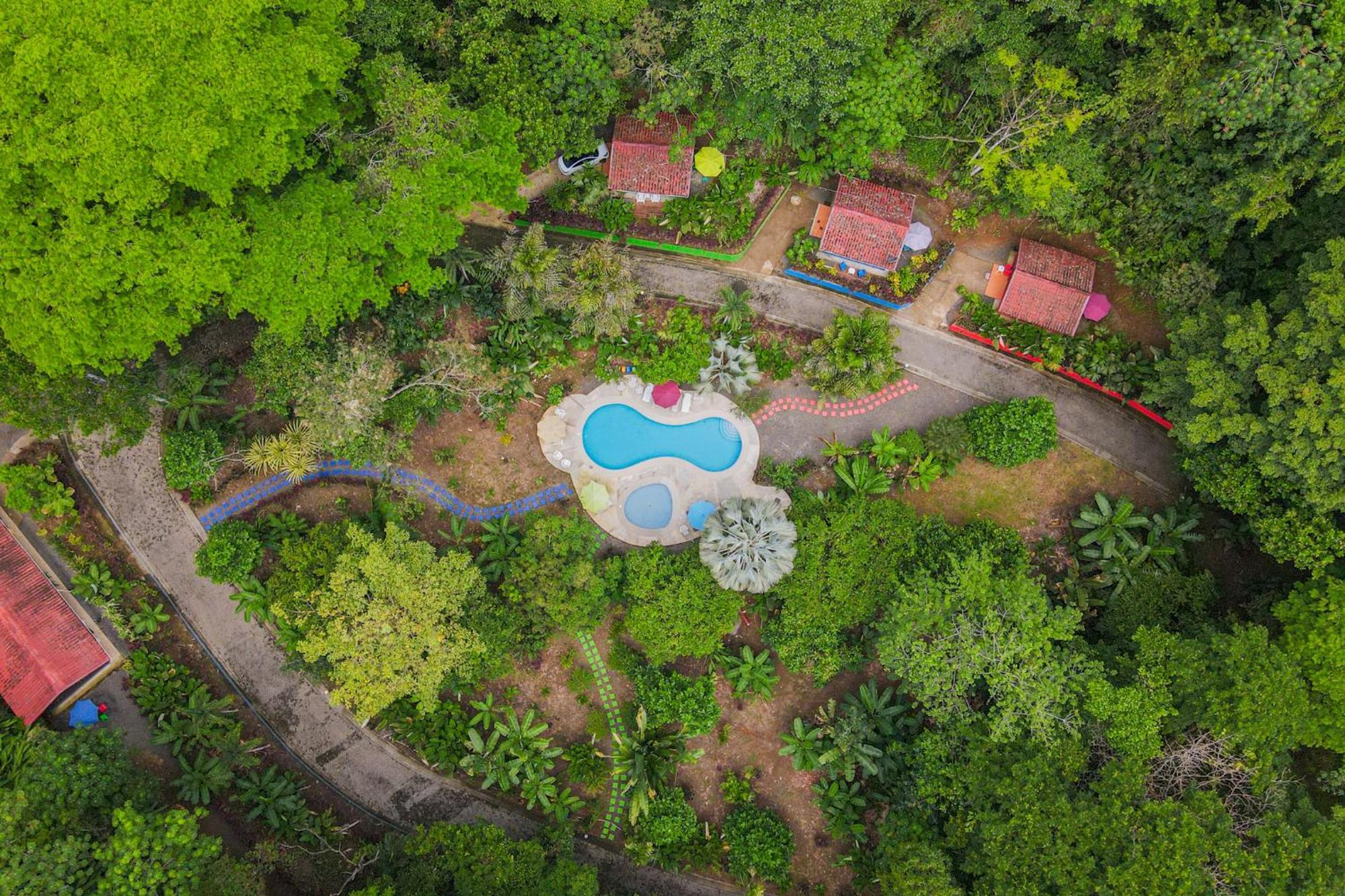 Selva Color - Forest & Beach Ecolodge Quebrada Ganado Exterior photo