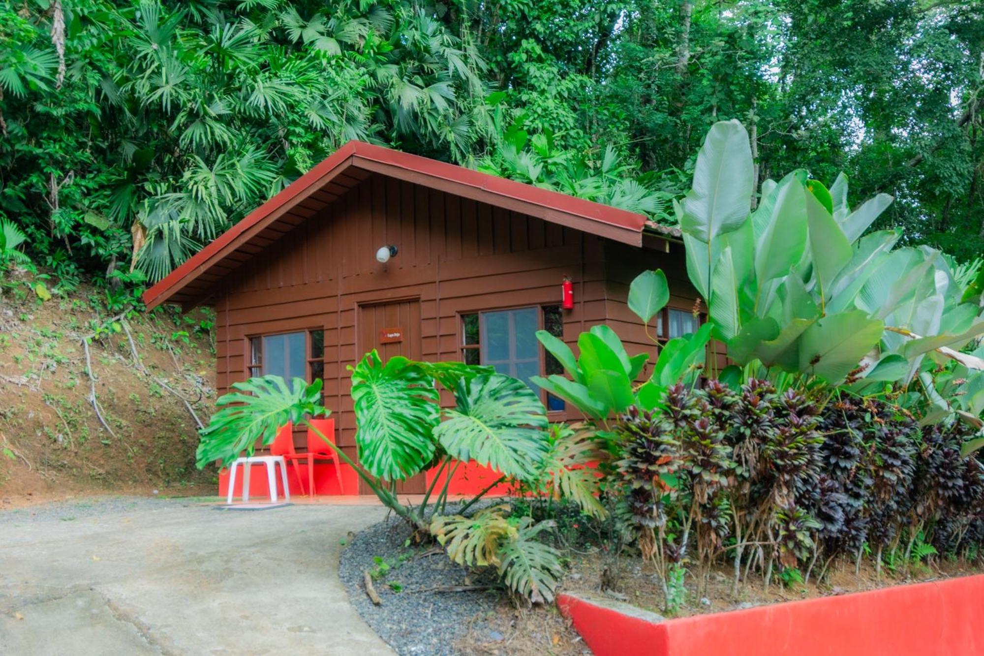 Selva Color - Forest & Beach Ecolodge Quebrada Ganado Exterior photo