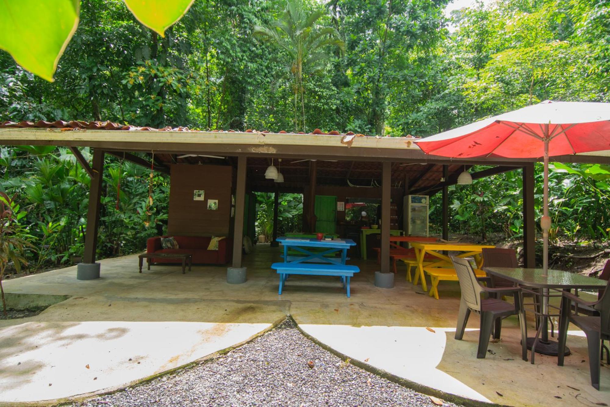 Selva Color - Forest & Beach Ecolodge Quebrada Ganado Exterior photo